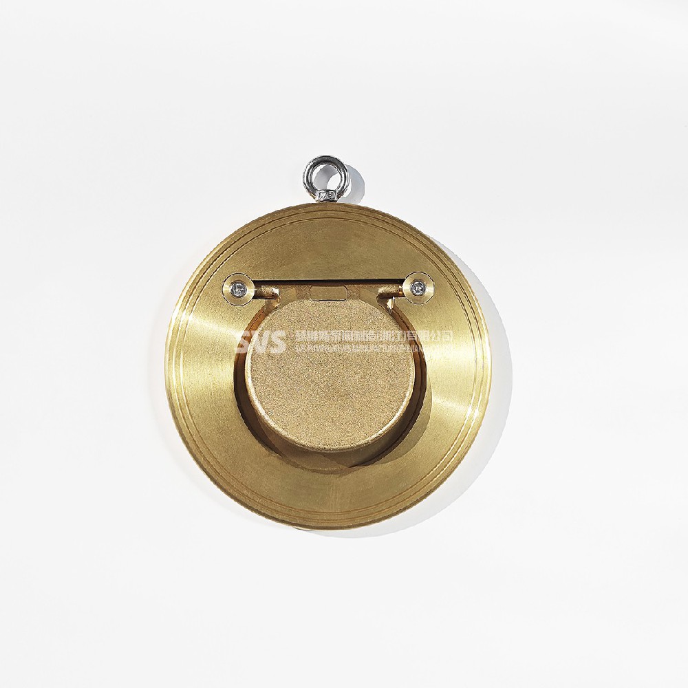 Bronze plate check valve